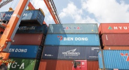 HOT PROMOTION REEFER SEA FREIGHT 